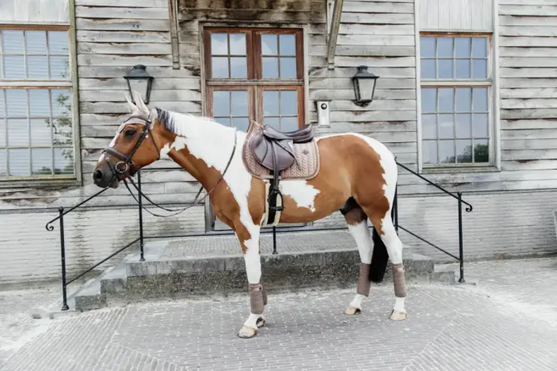 Kentucky Saddle Pad Velvet Pearls SJ - BEIGE