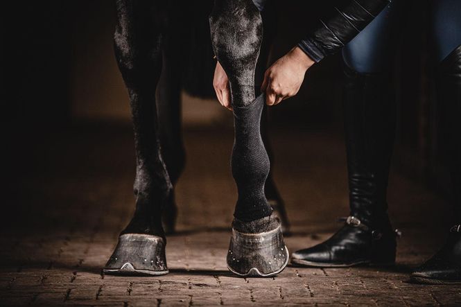 Hovedbilde ONE Equestrian Strømpe 5m ...
