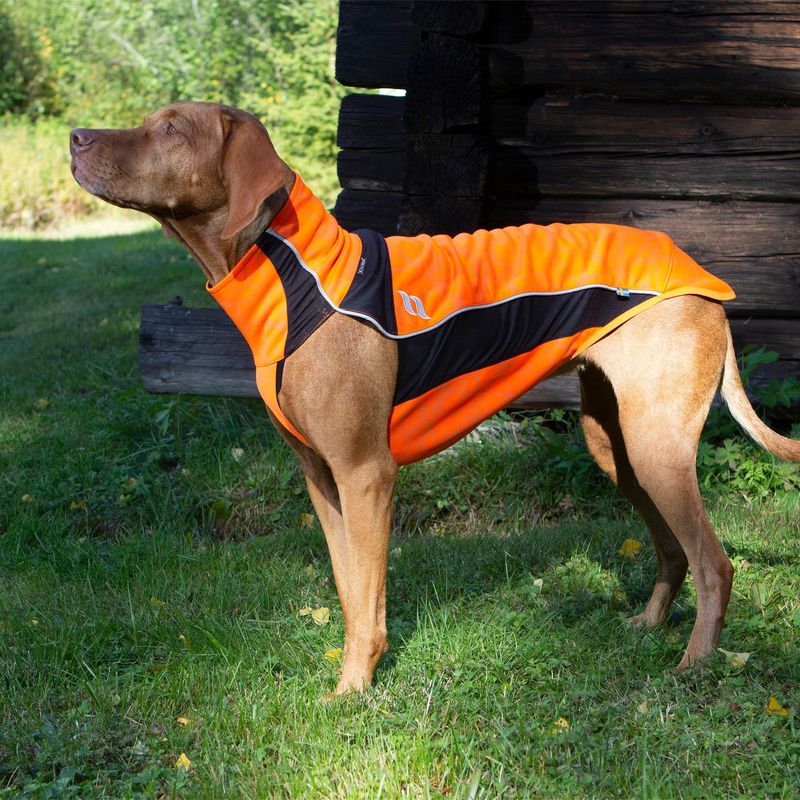 Back on Track hunde dekken