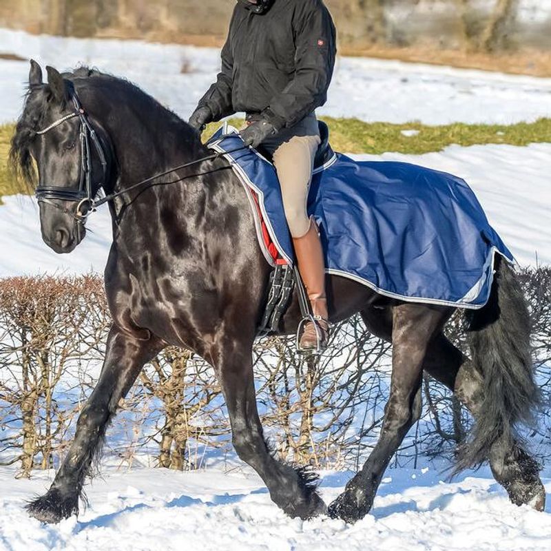 Bucas Ridedekken
