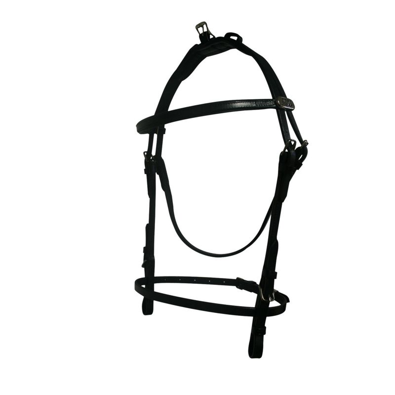 Harness complete training 10cm QH/TW3D leather