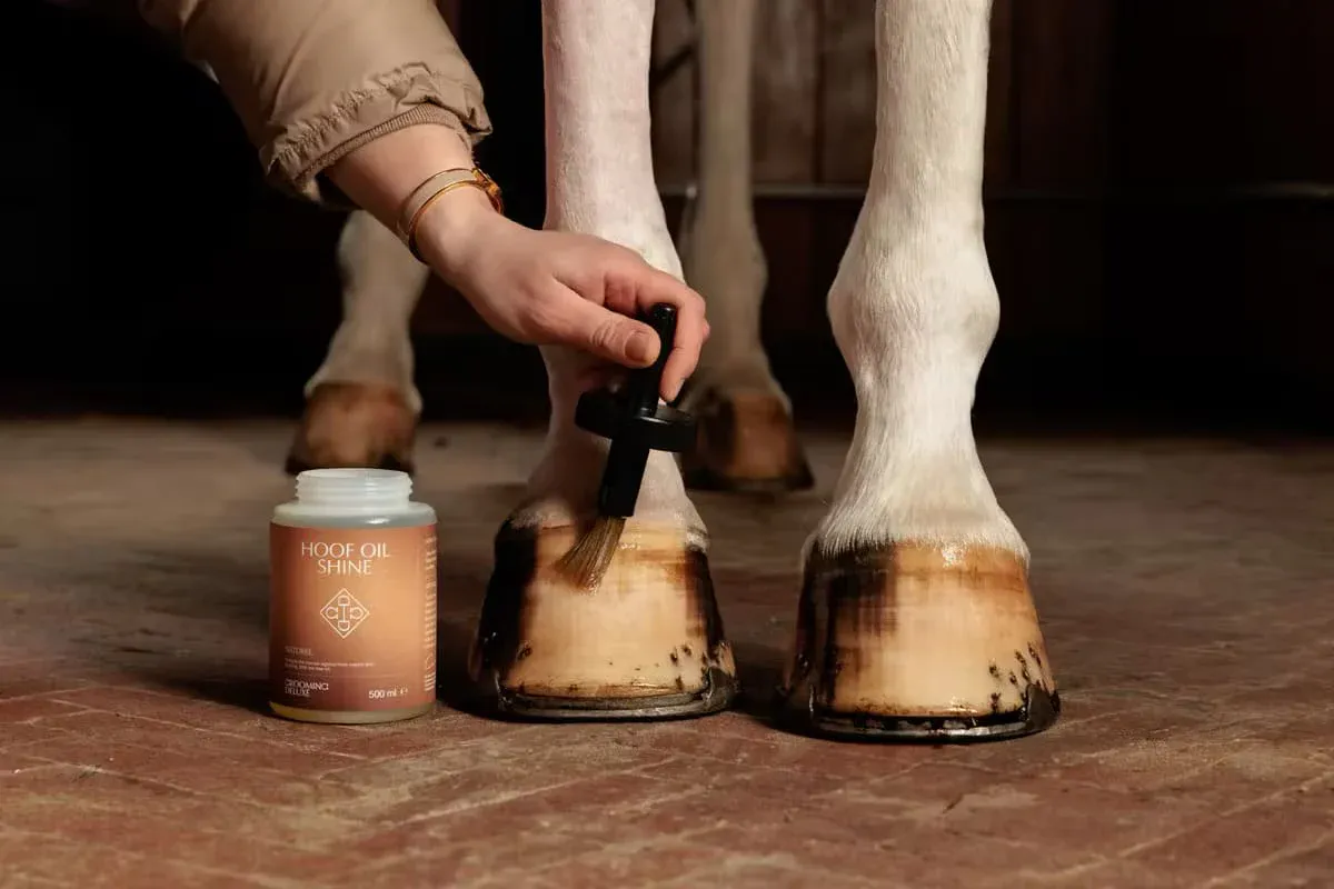 Grooming Deluxe Hoof Oil Shine