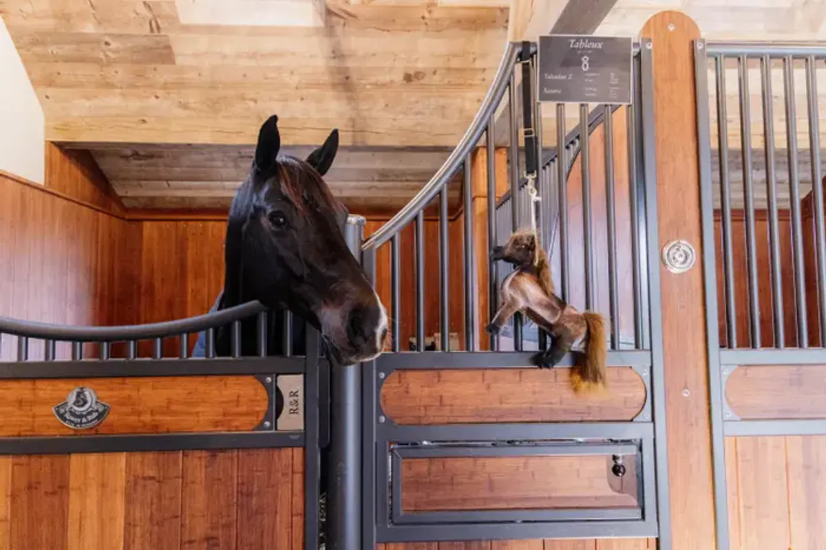 Kentucky Relax Horse Toy Tableux