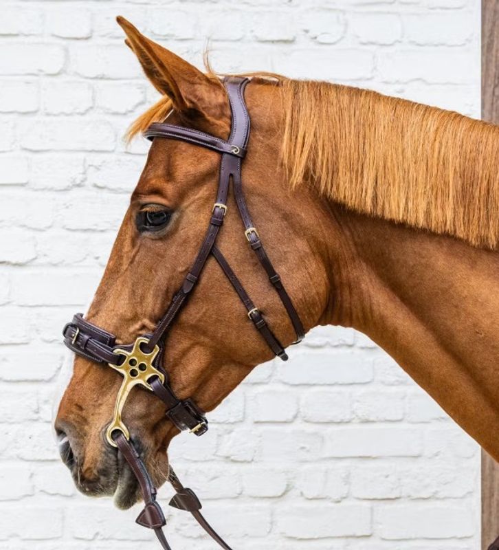 Hackamore Bridle DY