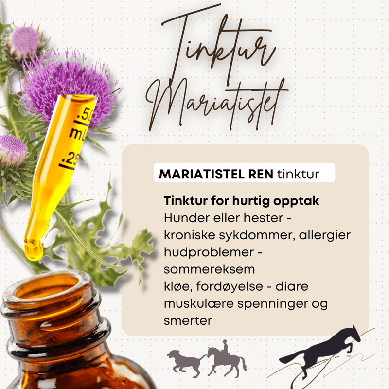 Mariatistel TINKTUR Hilton Herbs 250 ml