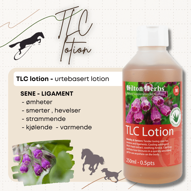 Hovedbilde TLC Lotion Hilton Herbs 250ml